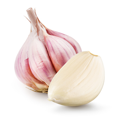 Garlic bulb and clove isolated. Garlic on white background. Garlic bulb, clove closeup.