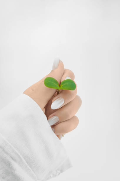 istock green little sprout in a woman’s hand 1258112236