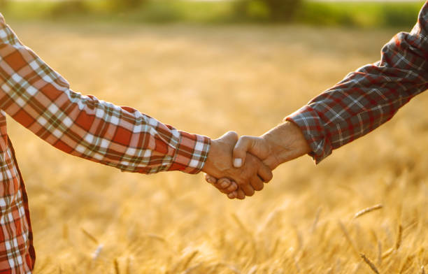 istock Handshake of  two farmer. 1258112578