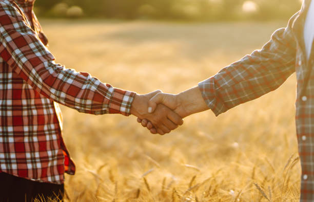 istock Two farmer standing and shaking hands in a wheat field. 1258112581