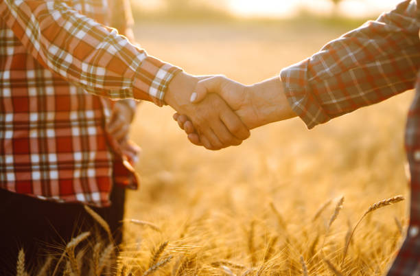istock Handshake of  two farmer. 1258112632