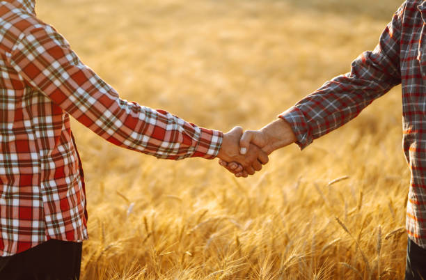 istock Handshake of  two farmer. 1258112649