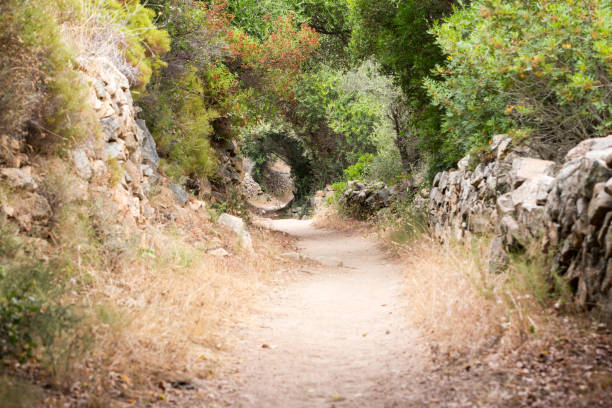istock Hiking trail surrounded by stone wall in Corsica 1258113598