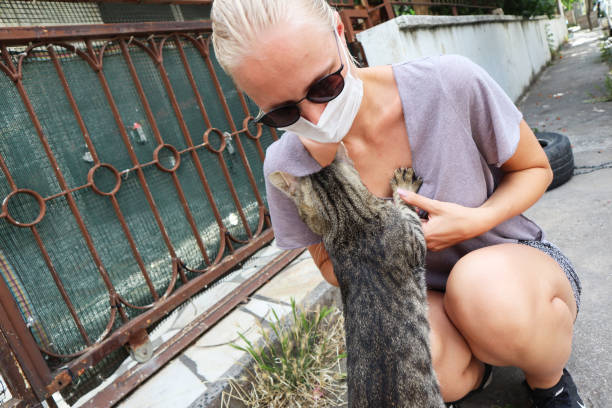 Можно ли лечить отравление у кошек народными средствами?