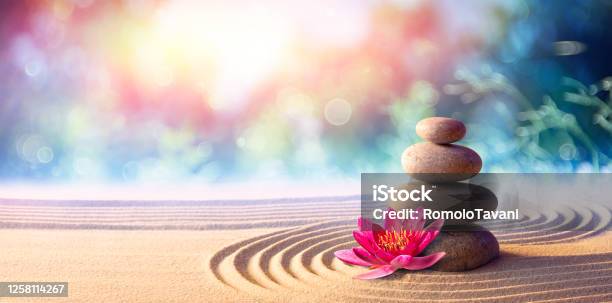 Lotus Flower With Spa Stones In Rock Garden Stock Photo - Download Image Now - Zen-like, Spa, Buddhism