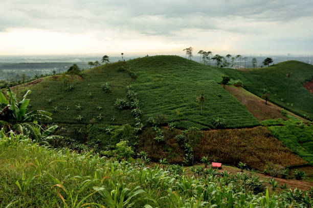 istock Morning at Lematang Hill 1258117901