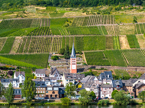 View of Bremm at the Mosel with Moselschleife