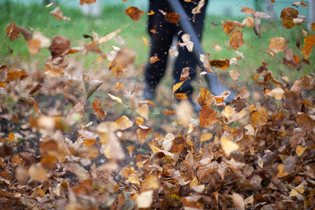 istock Cleaning dry leaves with a wind turbine. 1258120059