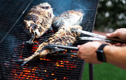Man grilling and rotating large fish on the barbecue outdoors closeup