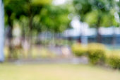 istock Abstract blurred background of trees and lawn 1258122931