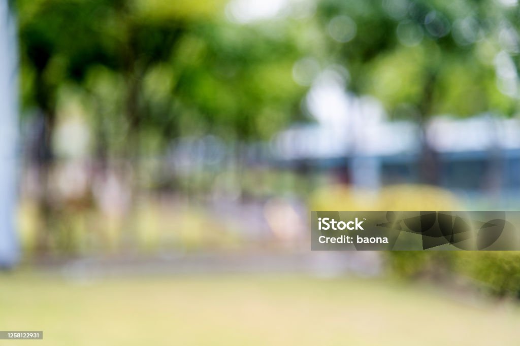 Abstract blurred background of trees and lawn Abstract blurred background of trees and lawn. Public Park Stock Photo