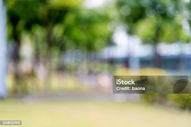 Abstract Blurred Background Of Trees And Lawn Stock Photo - Download Image Now - Public Park, Backgrounds, Natural Parkland