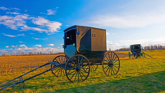 Amish Buggy- Tight Seating for 4- Hamilton County Indiana