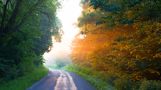 Road-Country Road Sunrise-Miami County Indiana