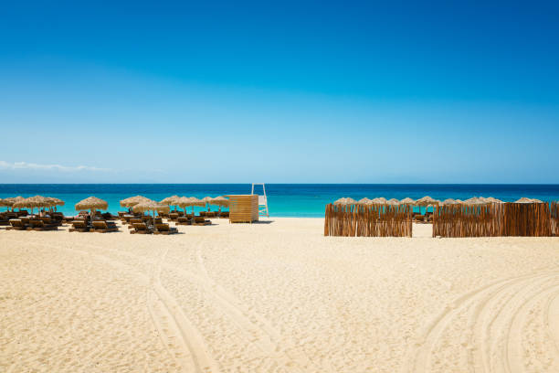 istock Elia beach, Mykonos island, Greece 1258127404