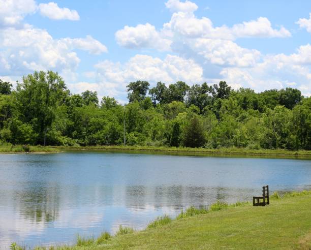 istock Reflections in the Lake Water 1258128391