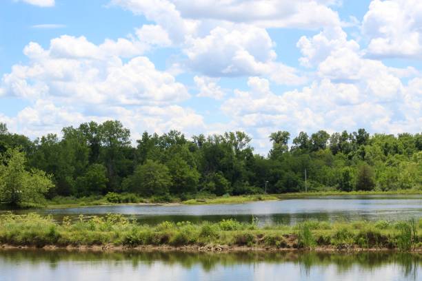 istock Calm Quiet Lake in the Country 1258128675