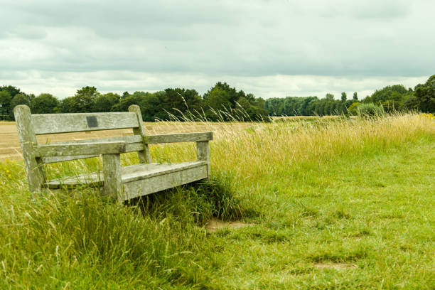 istock Lone wooden seat 1258129903