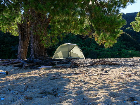 A tent for wild camping on Apple Tree Bay beach surrounded by trees. Abel Tasman National Park, South Island, New Zealand.