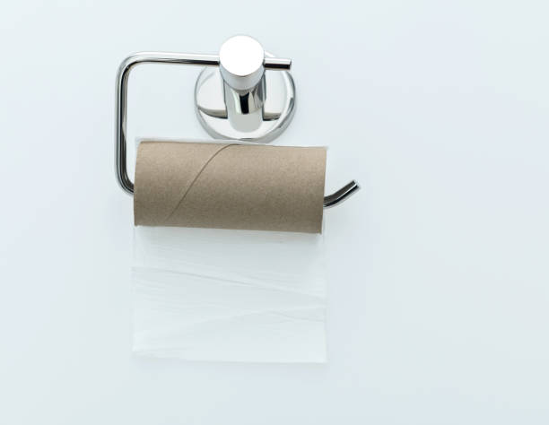 istock Empty toilet paper roll handing on white background 1258132020