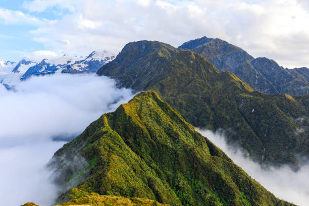 szczyty górskie franza josefa wznoszące się ponad inwersję chmur. lodowiec franza josefa, wyspa południowa, nowa zelandia - franz josef glacier zdjęcia i obrazy z banku zdjęć