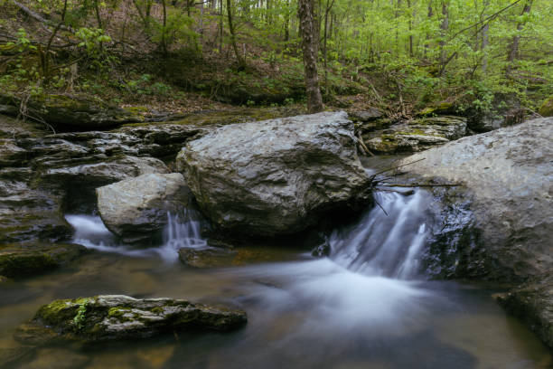 istock Small cascade waterfall tucked away in a North Georgia Stream 1258132095