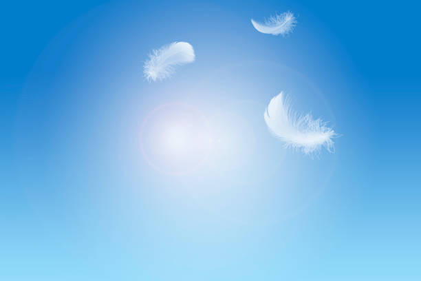 istock Light fluffy a white feathers floating in a blue sky. Feather abstract background. 1258133233