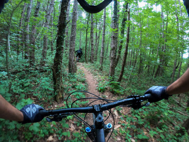 istock Friends mountain biking through forest 1258135526
