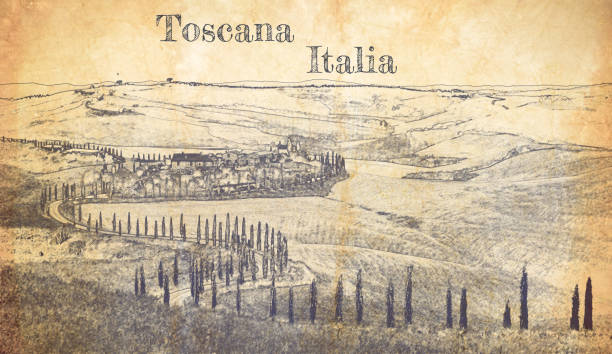 illustrations, cliparts, dessins animés et icônes de croquis de route sinueuse avec des cyprès en toscane, italie - tuscany landscape italy siena