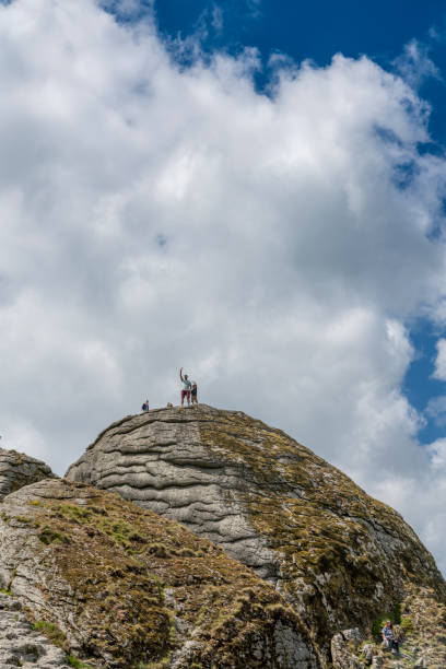 haytor (hay tor) on dartmoor - dartmoor haytor rocks rock outcrop imagens e fotografias de stock