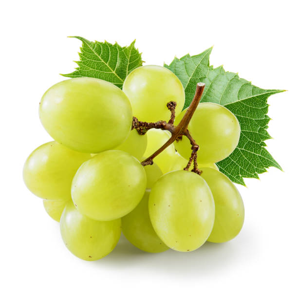 istock Green grape isolate. Grape with leaves on white background. Grapes isolated on white. Full depth of field. 1258140659