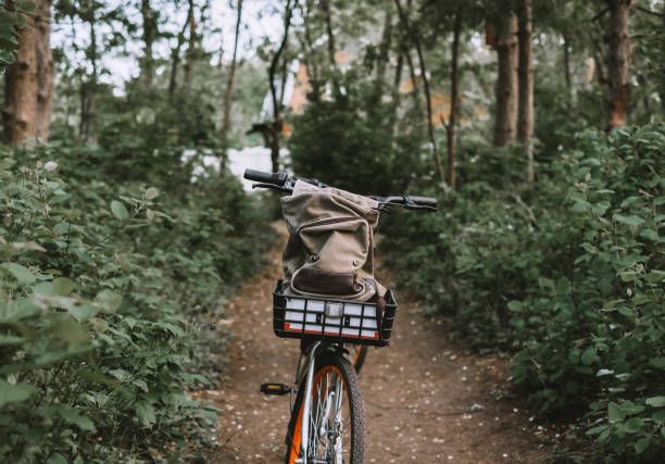 istock Two bicycle on a forest path, active lifestyle, outdoor sports 1258141527