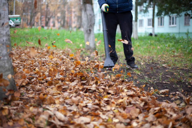 istock .Cleaning leaves with a wind generator. 1258144000