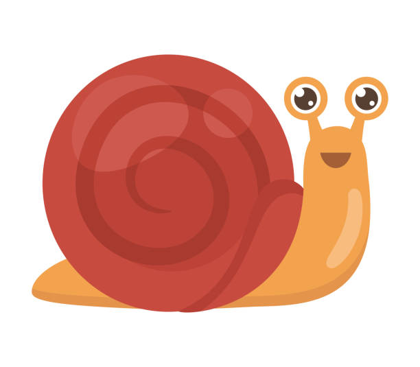 illustrazioni stock, clip art, cartoni animati e icone di tendenza di lumaca allegra - vector animal snail slug