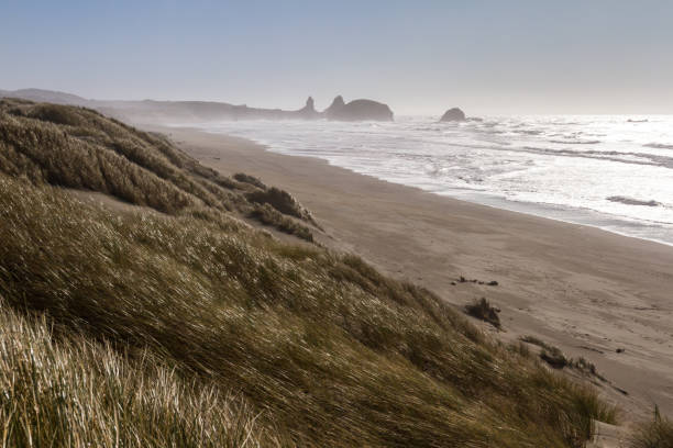istock The Southern Oregon coast 1258147083