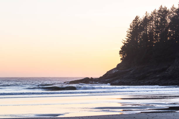 istock The Southern Oregon coast 1258147105