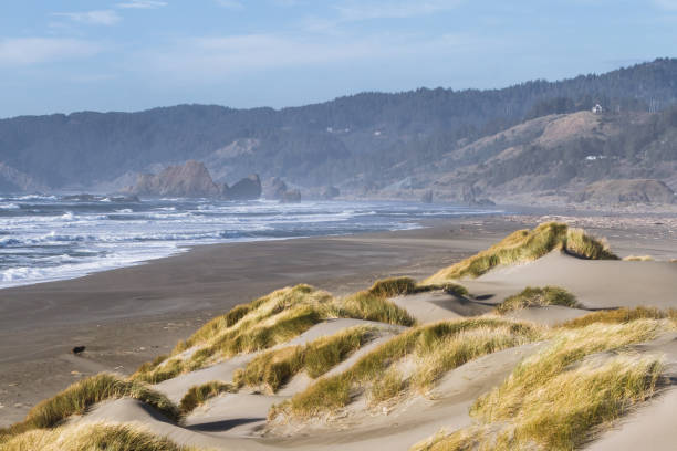 istock Sand dunes in the Oregon coast 1258147167