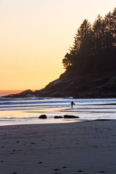 istock surfing in the Oregon coast 1258147170