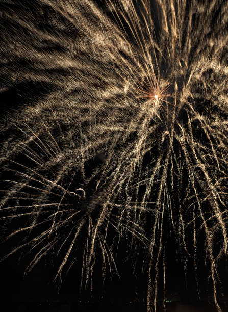 istock Big bright fireworks in the night sky 1258147281