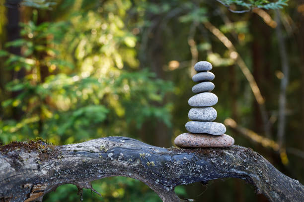 istock Pyramid stones balance on a tree trunk in the forest. 1258148270