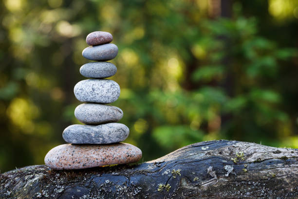 istock Pyramid stones balance on a tree trunk in the forest. 1258148363