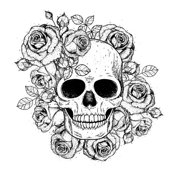 czaszka i kwiaty ręcznie rysowane ilustracji. tatuaż vintage nadruk. czaszka i róże. - skull tattoo vector flower stock illustrations