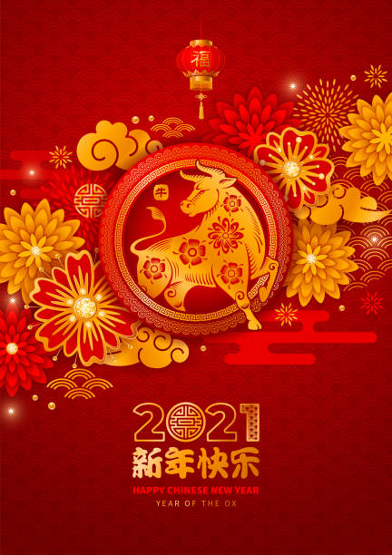 Chinese New Year 2021 Year Of The Ox Chinese New Year 2021, year of the Ox vector design. Paper cut Ox, flowers, clouds in red and gold colors on background with traditional pattern. Chinese characters mean Happy New Year, Ox, Good Luck. 2021 illustrations stock illustrations