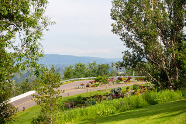 View of Prince George A view from Connaught Hill Park in Prince George, BC, on a foggy morning. prince george photos stock pictures, royalty-free photos & images