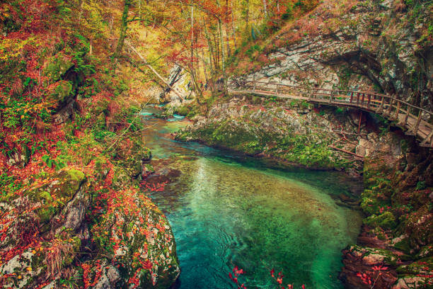 istock Vintgar gorge, Slovenia 1258160097