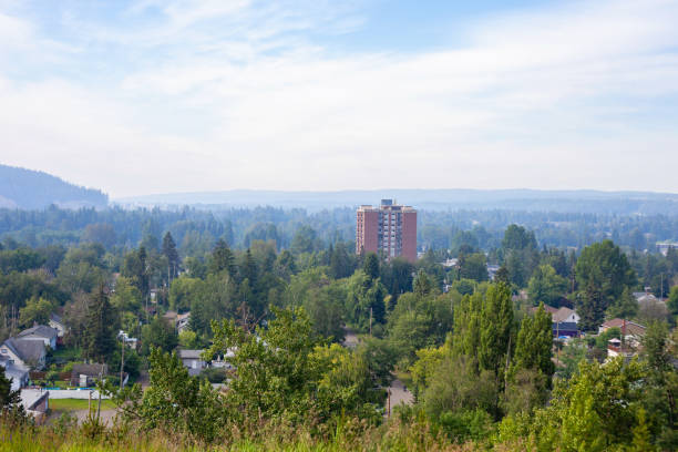 View of Prince George A view from Connaught Hill Park in Prince George, BC, on a foggy morning. prince george photos stock pictures, royalty-free photos & images