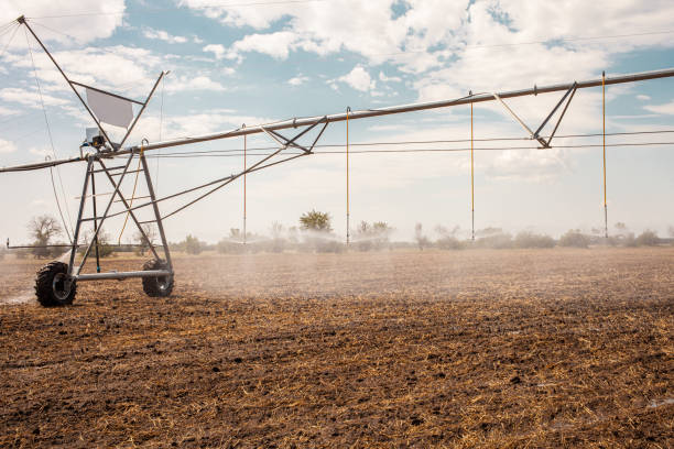 istock Moved irrigation system on a farmer's field. Field irrigation 1258161176