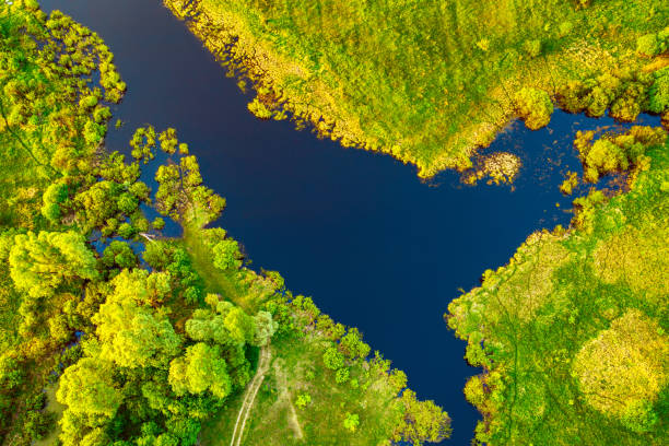 istock Lake in the meadows 1258162090