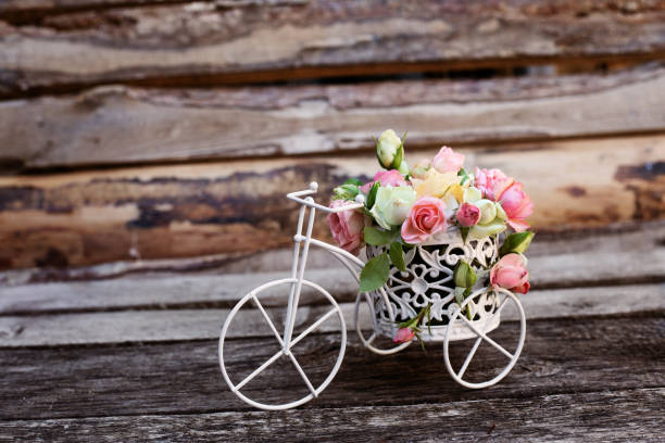 Decorative vintage model old bicycle equipped basket flowers garden on wooden background. Pink and white roses. Horizontal card
