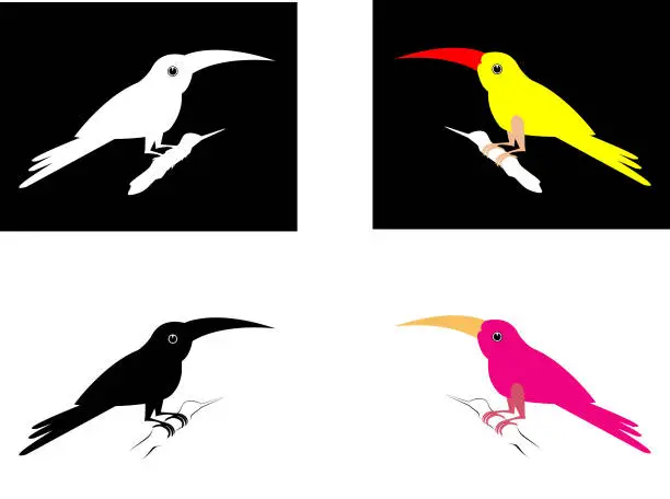 Vector illustration of Bird,